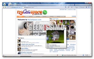 Arrivano i MySpace per cani e gatti!
