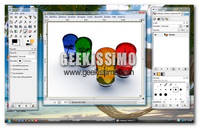 GIMP: come risolvere i problemi di rallentamento all’avvio su Windows Vista