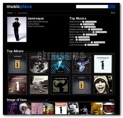 Musicplace: aggregatore per ascoltare musica, guardare video e fan-images di un artista