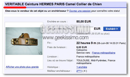 eBay dovrà pagare 20mila euro di risarcimento alla Hermes. Un pericoloso precedente, che pone la società d’aste a rischio chiusura!
