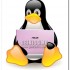 ASUS: “Linux presente solo sul 5% degli Eee PC” e parte la campagna pro-Microsoft