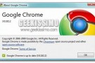 Chrome 3.0 disponibile sul “Dev Channel”. Google corre troppo?