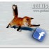 Firefox e Facebook: 4 add-ons da non perdere