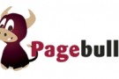 Motore di ricerca visuale: Pagebull