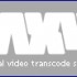 Convertitore online di video FLV: Vixy