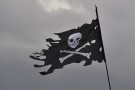 Pirateria, i nuovi numeri di BSA