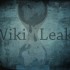 Wikileaks, vittoria in Islanda contro il blocco di Visa e Mastercard