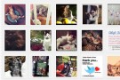 Twimfeed, anche Twitter si trasforma in Pinterest