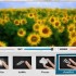 Lazy Paint, modificare le foto su Windows 8 trasformandole in dipinti realistici