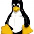 Linux Foundation, proseguono i lavori per consentire il dual boot con Windows 8