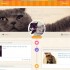 Catmoji, arriva il social network dedicato ai gatti
