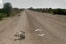 Google Street View e l’equivoco dell’asino in Botswana