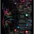 Microsoft, tutte le divisioni dell’azienda in un’infografica