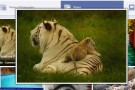 Magnifier for Facebook, ingrandire le foto di Facebook al passaggio del mouse
