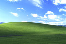 Windows XP, la storia della foto utilizzata come sfondo di default