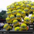 YouTube, comincia la sperimentazione per i video 4K a 60 fps