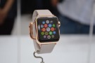 IDC: Apple Watch ha conquistato il 20% del mercato wearable