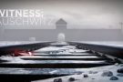 Witness: Auschwitz, un drammatico viaggio nella realtà virtuale