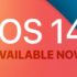 Apple rilascia iOS 14 e iPadOS 14 con riprogettazione della schermata iniziale e tanto altro