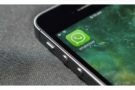 Confermate le nuove regole WhatsApp da febbraio 2021: cosa comportano