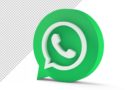 Un aggiornamento per rispondere alle note video su WhatsApp in modo più semplice