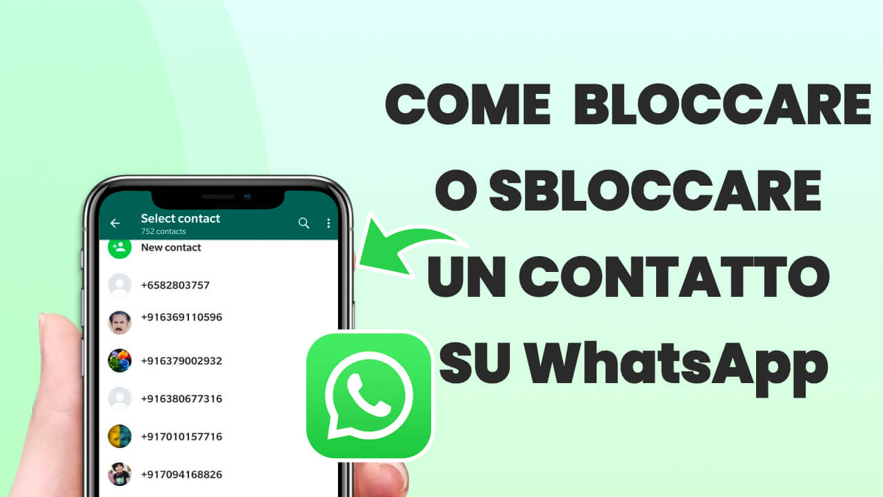 contatto WhatsApp