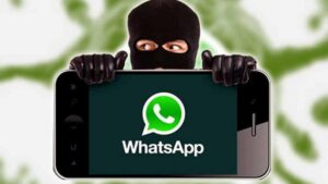 truffe WhatsApp